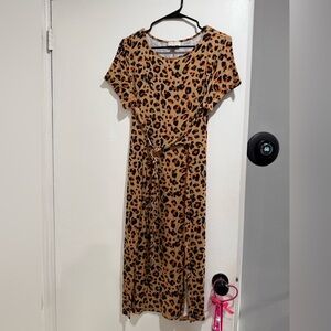 Loft Leopard Print  Dress
